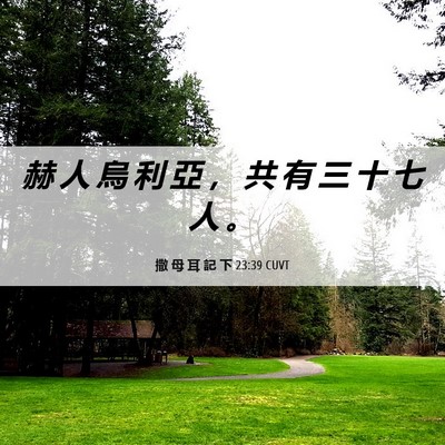 Picture 06 - 撒 母 耳 記 下 23:39 CUVT - 赫 人 烏 利 亞 ， 共 有 三 十 七 人 - Bible Verse Picture