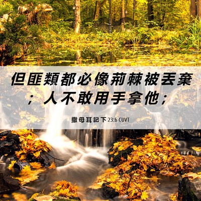 Picture 06 - 撒 母 耳 記 下 23:6 CUVT - 但 匪 類 都 必 像 荊 棘 被 丟 棄 ； - Bible Verse Picture