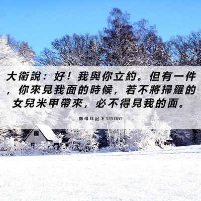 Picture 06 - 撒 母 耳 記 下 3:13 CUVT - 大 衛 說 ： 好 ！ 我 與 你 立 約 。 - Bible Verse Picture