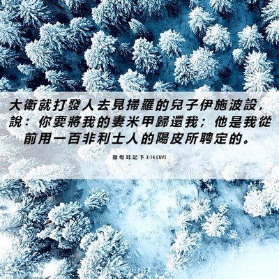 Picture 06 - 撒 母 耳 記 下 3:14 CUVT - 大 衛 就 打 發 人 去 見 掃 羅 的 兒 - Bible Verse Picture
