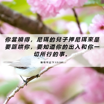 Picture 06 - 撒 母 耳 記 下 3:25 CUVT - 你 當 曉 得 ， 尼 珥 的 兒 子 押 尼 - Bible Verse Picture