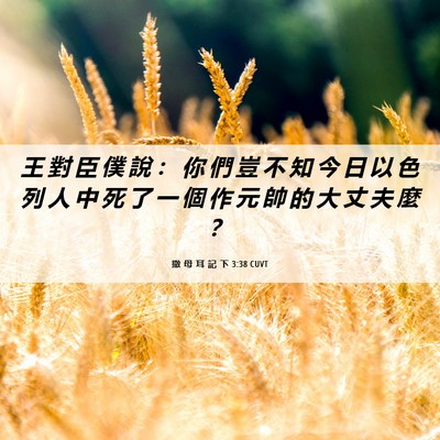 Picture 06 - 撒 母 耳 記 下 3:38 CUVT - 王 對 臣 僕 說 ： 你 們 豈 不 知 今 - Bible Verse Picture