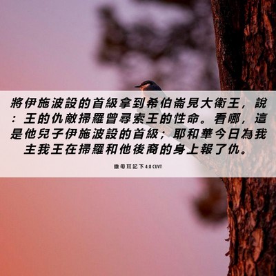 Picture 06 - 撒 母 耳 記 下 4:8 CUVT - 將 伊 施 波 設 的 首 級 拿 到 希 伯 - Bible Verse Picture