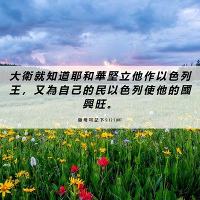 Picture 06 - 撒 母 耳 記 下 5:12 CUVT - 大 衛 就 知 道 耶 和 華 堅 立 他 作 - Bible Verse Picture