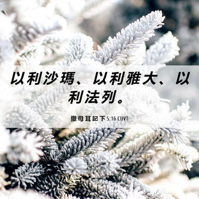 Picture 06 - 撒 母 耳 記 下 5:16 CUVT - 以 利 沙 瑪 、 以 利 雅 大 、 以 利 - Bible Verse Picture