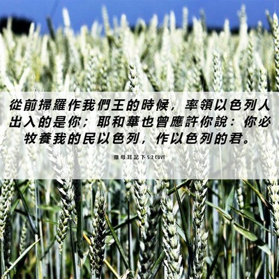 Picture 06 - 撒 母 耳 記 下 5:2 CUVT - 從 前 掃 羅 作 我 們 王 的 時 候 ， - Bible Verse Picture