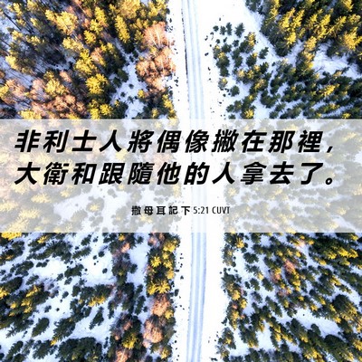 Picture 06 - 撒 母 耳 記 下 5:21 CUVT - 非 利 士 人 將 偶 像 撇 在 那 裡 ， - Bible Verse Picture