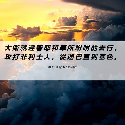 Picture 06 - 撒 母 耳 記 下 5:25 CUVT - 大 衛 就 遵 著 耶 和 華 所 吩 咐 的 - Bible Verse Picture