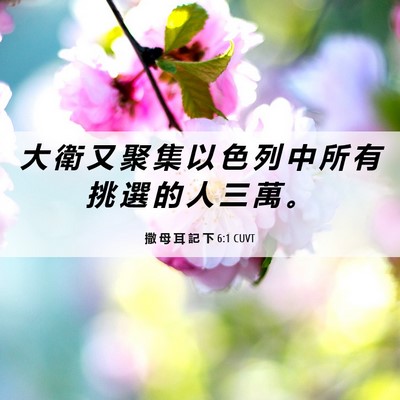 Picture 06 - 撒 母 耳 記 下 6:1 CUVT - 大 衛 又 聚 集 以 色 列 中 所 有 挑 - Bible Verse Picture