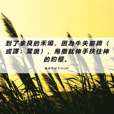 Picture 06 - 撒 母 耳 記 下 6:6 CUVT - 到 了 拿 艮 的 禾 場 ， 因 為 牛 失 - Bible Verse Picture