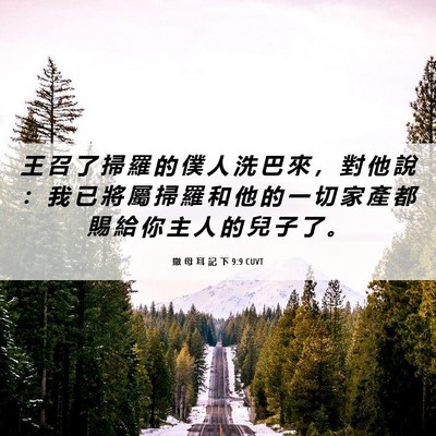 Picture 06 - 撒 母 耳 記 下 9:9 CUVT - 王 召 了 掃 羅 的 僕 人 洗 巴 來 ， - Bible Verse Picture