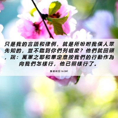 Picture 06 - 撒 迦 利 亞 1:6 CUVT - 只 是 我 的 言 語 和 律 例 ， 就 是 - Bible Verse Picture