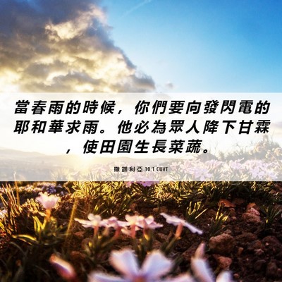 Picture 06 - 撒 迦 利 亞 10:1 CUVT - 當 春 雨 的 時 候 ， 你 們 要 向 發 - Bible Verse Picture