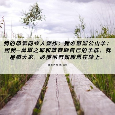 Picture 06 - 撒 迦 利 亞 10:3 CUVT - 我 的 怒 氣 向 牧 人 發 作 ； 我 必 - Bible Verse Picture