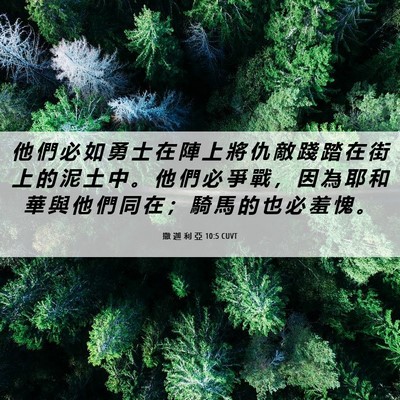 Picture 06 - 撒 迦 利 亞 10:5 CUVT - 他 們 必 如 勇 士 在 陣 上 將 仇 敵 - Bible Verse Picture
