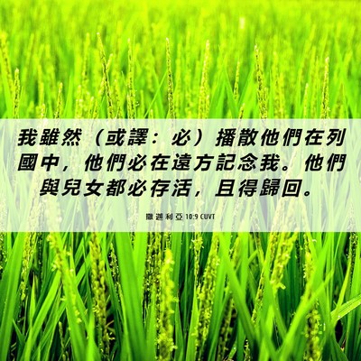 Picture 06 - 撒 迦 利 亞 10:9 CUVT - 我 雖 然 （ 或 譯 ： 必 ） 播 散 他 - Bible Verse Picture