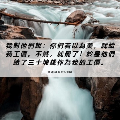 Picture 06 - 撒 迦 利 亞 11:12 CUVT - 我 對 他 們 說 ： 你 們 若 以 為 美 - Bible Verse Picture
