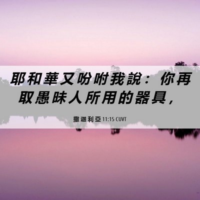 Picture 06 - 撒 迦 利 亞 11:15 CUVT - 耶 和 華 又 吩 咐 我 說 ： 你 再 取 - Bible Verse Picture