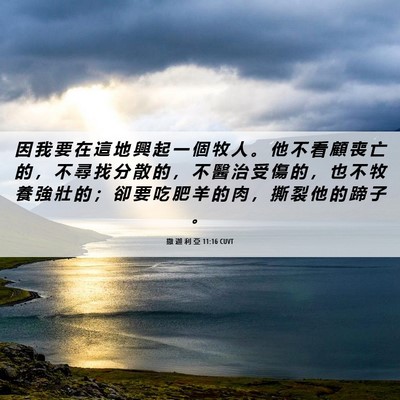 Picture 06 - 撒 迦 利 亞 11:16 CUVT - 因 我 要 在 這 地 興 起 一 個 牧 人 - Bible Verse Picture