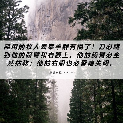 Picture 06 - 撒 迦 利 亞 11:17 CUVT - 無 用 的 牧 人 丟 棄 羊 群 有 禍 了 - Bible Verse Picture