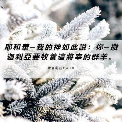 Picture 06 - 撒 迦 利 亞 11:4 CUVT - 耶 和 華 ─ 我 的 神 如 此 說 ： 你 - Bible Verse Picture