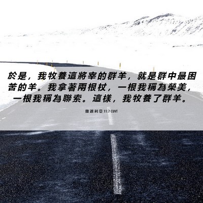 Picture 06 - 撒 迦 利 亞 11:7 CUVT - 於 是 ， 我 牧 養 這 將 宰 的 群 羊 - Bible Verse Picture