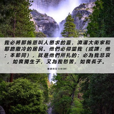 Picture 06 - 撒 迦 利 亞 12:10 CUVT - 我 必 將 那 施 恩 叫 人 懇 求 的 靈 - Bible Verse Picture