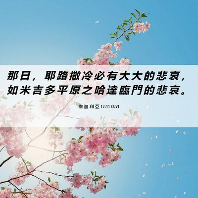 Picture 06 - 撒 迦 利 亞 12:11 CUVT - 那 日 ， 耶 路 撒 冷 必 有 大 大 的 - Bible Verse Picture