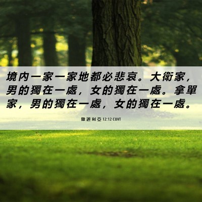 Picture 06 - 撒 迦 利 亞 12:12 CUVT - 境 內 一 家 一 家 地 都 必 悲 哀 。 - Bible Verse Picture