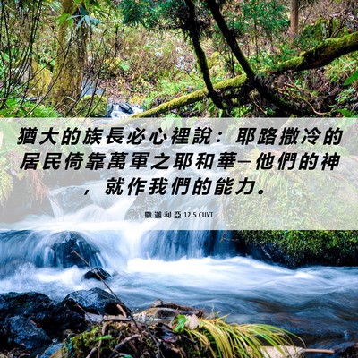 Picture 06 - 撒 迦 利 亞 12:5 CUVT - 猶 大 的 族 長 必 心 裡 說 ： 耶 路 - Bible Verse Picture