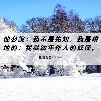 Picture 06 - 撒 迦 利 亞 13:5 CUVT - 他 必 說 ： 我 不 是 先 知 ， 我 是 - Bible Verse Picture
