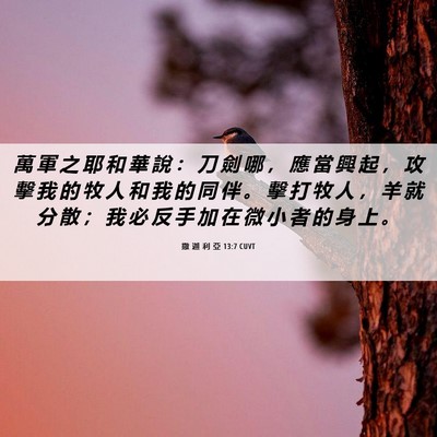 Picture 06 - 撒 迦 利 亞 13:7 CUVT - 萬 軍 之 耶 和 華 說 ： 刀 劍 哪 ， - Bible Verse Picture