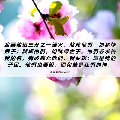 Picture 06 - 撒 迦 利 亞 13:9 CUVT - 我 要 使 這 三 分 之 一 經 火 ， 熬 - Bible Verse Picture