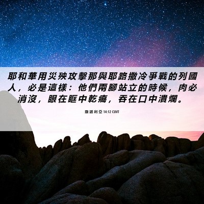 Picture 06 - 撒 迦 利 亞 14:12 CUVT - 耶 和 華 用 災 殃 攻 擊 那 與 耶 路 - Bible Verse Picture