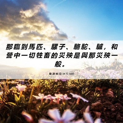 Picture 06 - 撒 迦 利 亞 14:15 CUVT - 那 臨 到 馬 匹 、 騾 子 、 駱 駝 、 - Bible Verse Picture