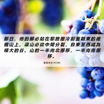 Picture 06 - 撒 迦 利 亞 14:4 CUVT - 那 日 ， 他 的 腳 必 站 在 耶 路 撒 - Bible Verse Picture