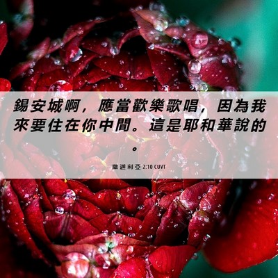 Picture 06 - 撒 迦 利 亞 2:10 CUVT - 錫 安 城 啊 ， 應 當 歡 樂 歌 唱 ， - Bible Verse Picture