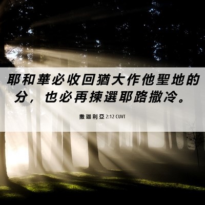Picture 06 - 撒 迦 利 亞 2:12 CUVT - 耶 和 華 必 收 回 猶 大 作 他 聖 地 - Bible Verse Picture