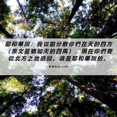 Picture 06 - 撒 迦 利 亞 2:6 CUVT - 耶 和 華 說 ： 我 從 前 分 散 你 們 - Bible Verse Picture