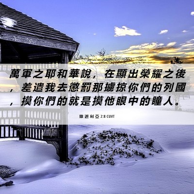 Picture 06 - 撒 迦 利 亞 2:8 CUVT - 萬 軍 之 耶 和 華 說 ， 在 顯 出 榮 - Bible Verse Picture