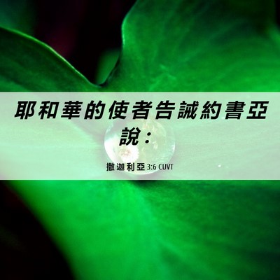 Picture 06 - 撒 迦 利 亞 3:6 CUVT - 耶 和 華 的 使 者 告 誡 約 書 亞 說 - Bible Verse Picture