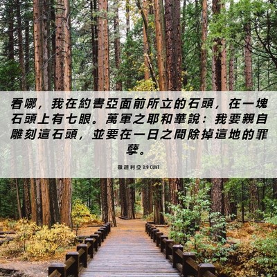 Picture 06 - 撒 迦 利 亞 3:9 CUVT - 看 哪 ， 我 在 約 書 亞 面 前 所 立 - Bible Verse Picture