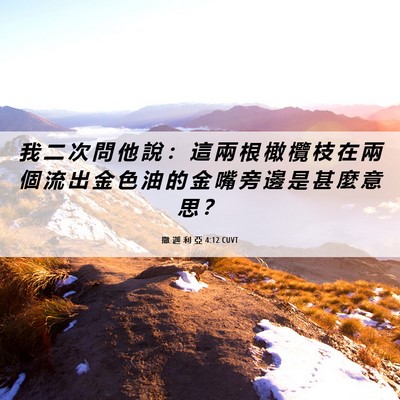 Picture 06 - 撒 迦 利 亞 4:12 CUVT - 我 二 次 問 他 說 ： 這 兩 根 橄 欖 - Bible Verse Picture