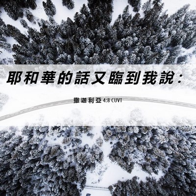 Picture 06 - 撒 迦 利 亞 4:8 CUVT - 耶 和 華 的 話 又 臨 到 我 說 - Bible Verse Picture