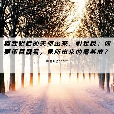 Picture 06 - 撒 迦 利 亞 5:5 CUVT - 與 我 說 話 的 天 使 出 來 ， 對 我 - Bible Verse Picture
