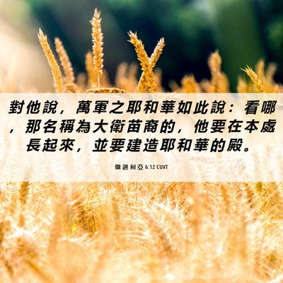 Picture 06 - 撒 迦 利 亞 6:12 CUVT - 對 他 說 ， 萬 軍 之 耶 和 華 如 此 - Bible Verse Picture