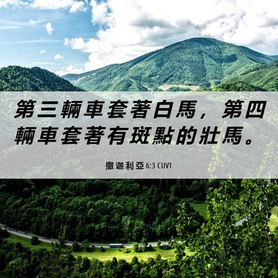 Picture 06 - 撒 迦 利 亞 6:3 CUVT - 第 三 輛 車 套 著 白 馬 ， 第 四 輛 - Bible Verse Picture