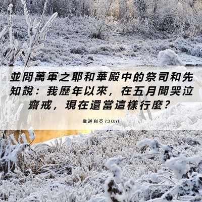 Picture 06 - 撒 迦 利 亞 7:3 CUVT - 並 問 萬 軍 之 耶 和 華 殿 中 的 祭 - Bible Verse Picture