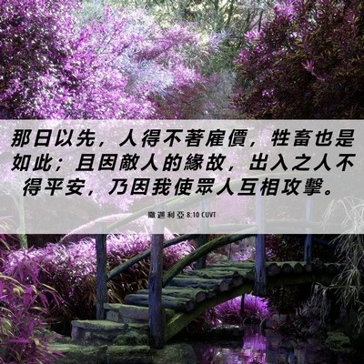 Picture 06 - 撒 迦 利 亞 8:10 CUVT - 那 日 以 先 ， 人 得 不 著 雇 價 ， - Bible Verse Picture