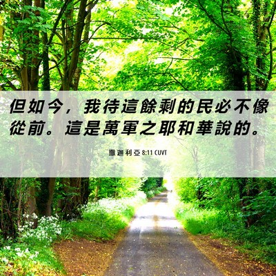 Picture 06 - 撒 迦 利 亞 8:11 CUVT - 但 如 今 ， 我 待 這 餘 剩 的 民 必 - Bible Verse Picture